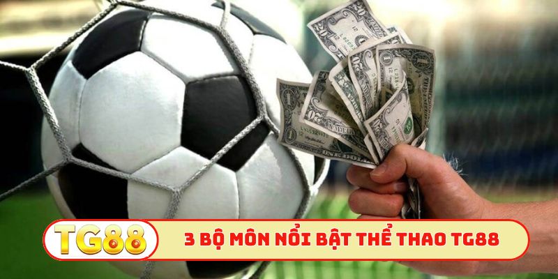 3 bộ môn nổi bật nhất thể thao TG88
