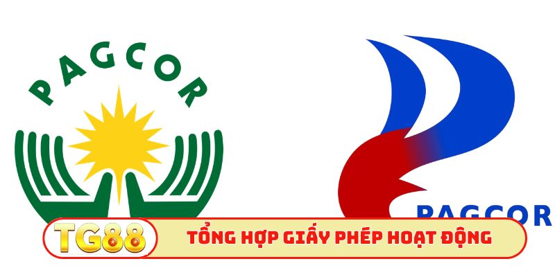 Tổng hợp các giấy phép hoạt động hiện có